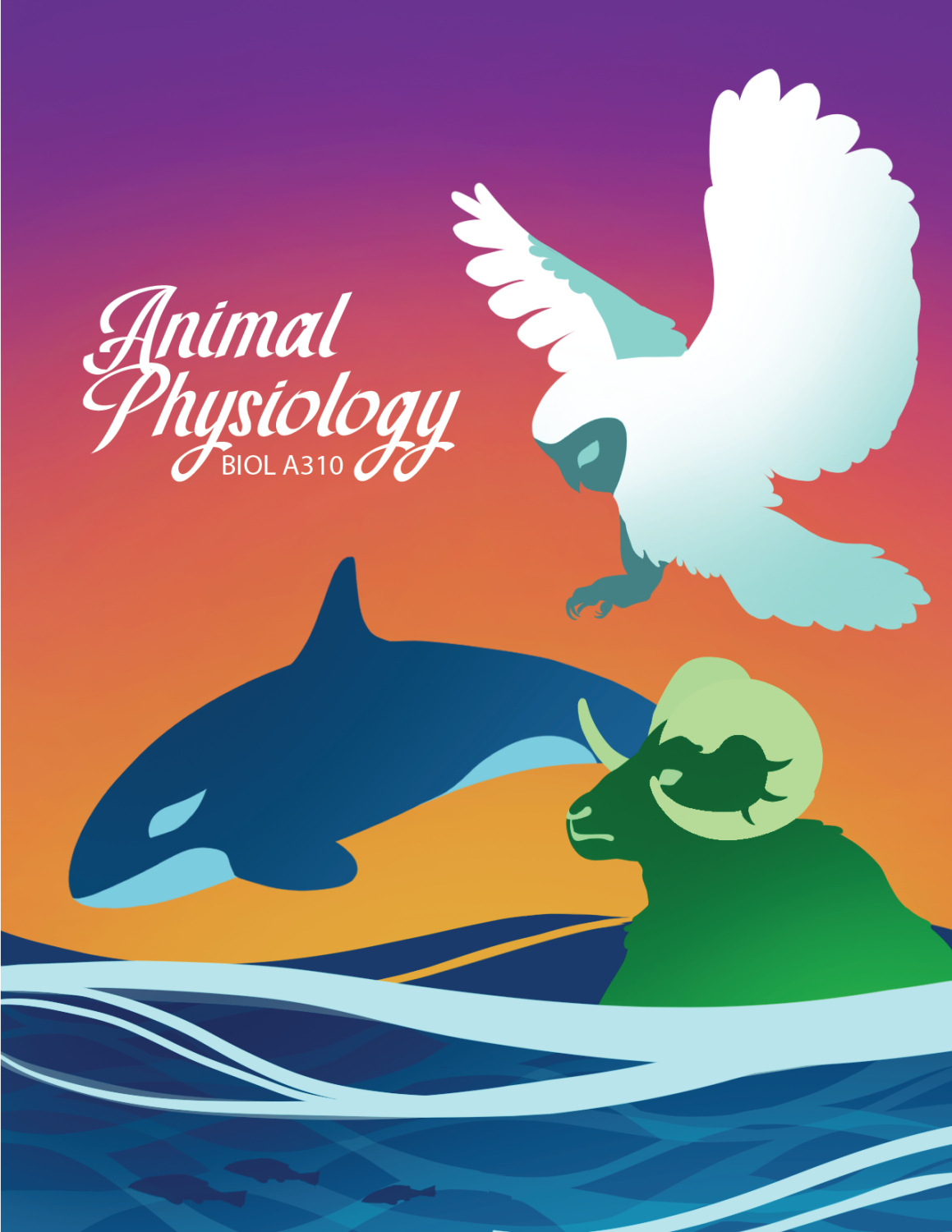 Cover image for Animal Physiology