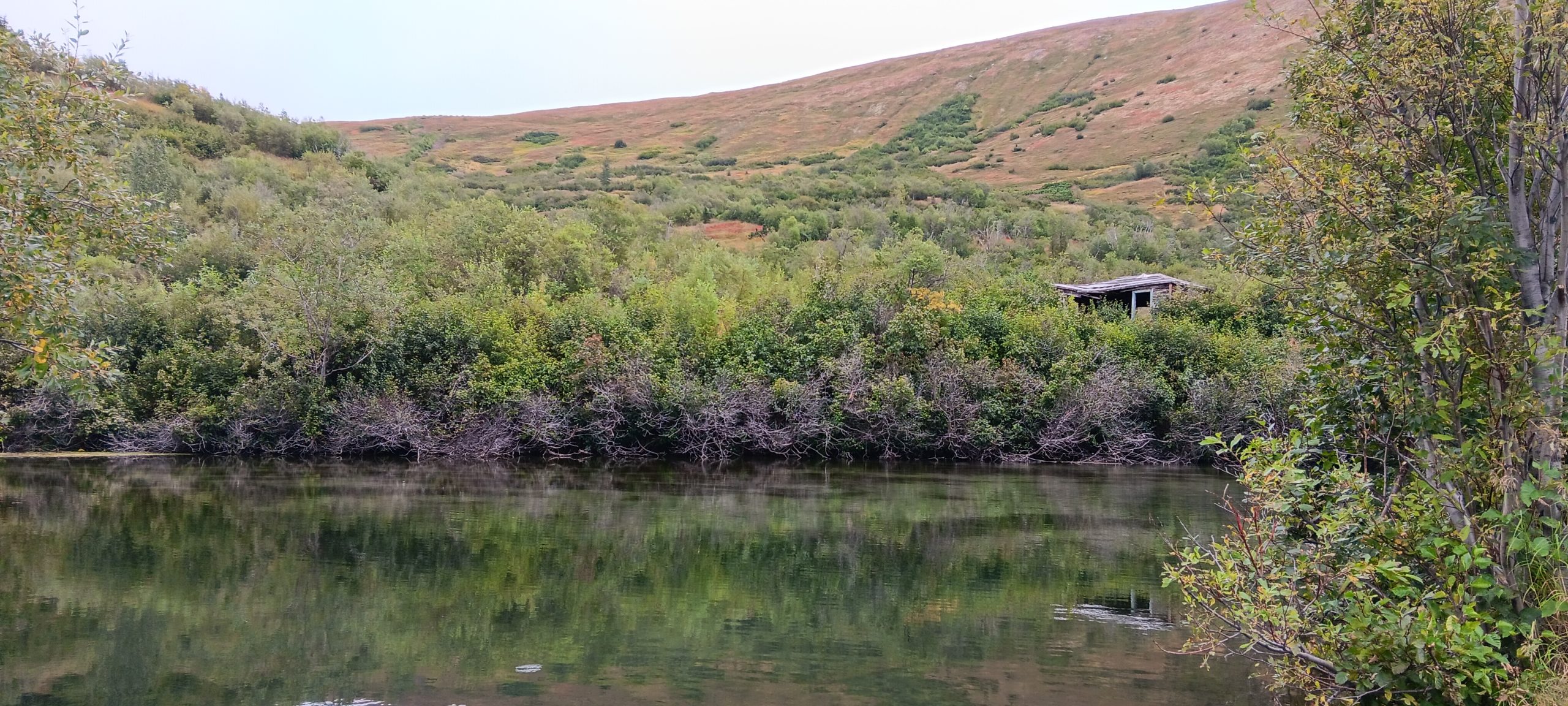 A mountain lake surrounded by trees framing an old log cabin