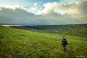 Hiking in Denali